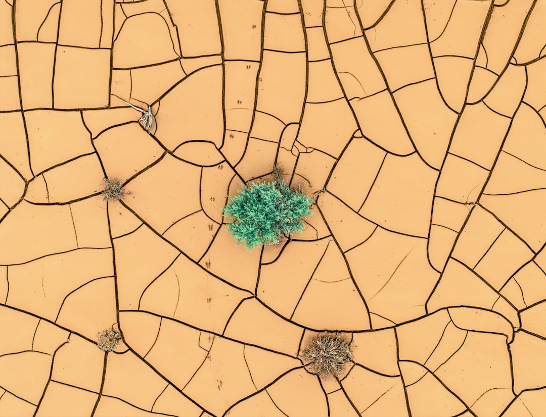 Movilidad inteligente